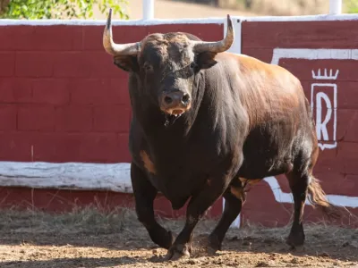 Wild Toro III amplía la saga con más comodines, dos modos de volatilidad y nuevas capas de bonus