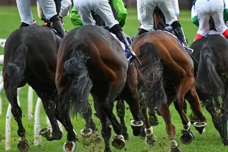 Vista de los cascos de un caballo, imagen que acompaña la información sobre el impacto de los controles de asequibilidad en las apuestas hípicas